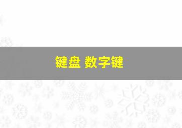 键盘 数字键